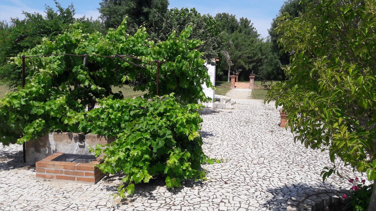 דירות Vimieiro  Quinta Da Abrunheira מראה חיצוני תמונה